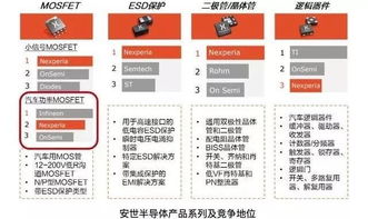 董明珠與雷軍 不同賽道上的戰略選擇與商業啟示